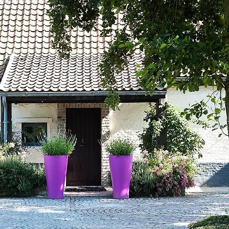 Hotel Duinhof 3*