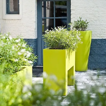 Duinhof فندق 3*
