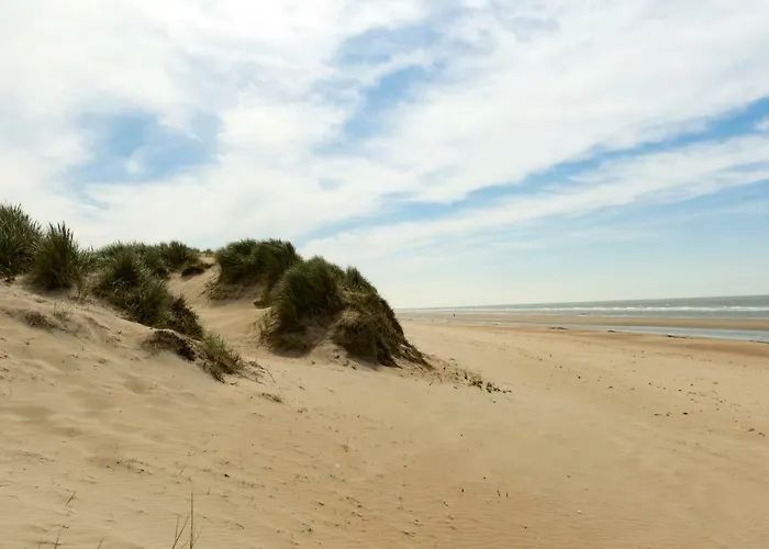 Duinhof 호텔 데한